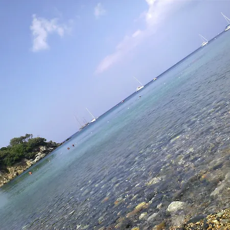 Orione *