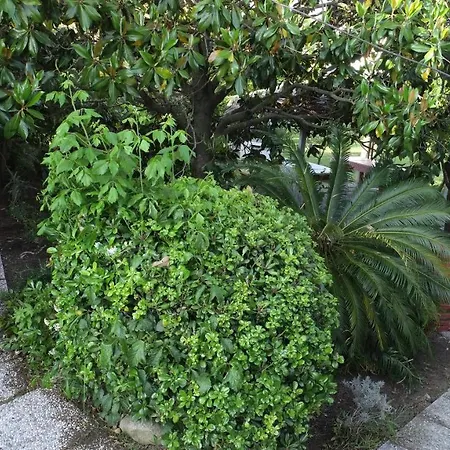 Orione Bauernhof